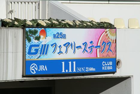 1フェアリーS.JPG
