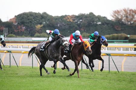 2009-11-28-12.jpg