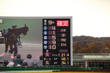 2009-11-28-16.jpg