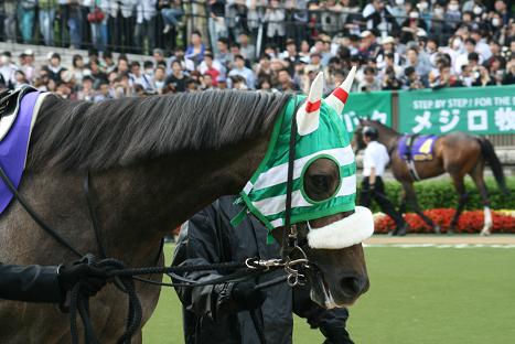 20090524_7346.JPG