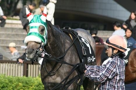 20091031_9324.jpg