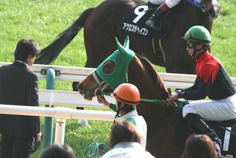 2009_02_22サララ-7.jpg