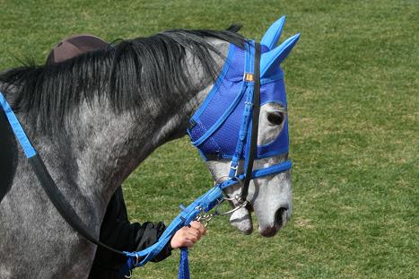 20100206_9999_6.jpg