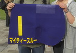 CIMG0877-T.jpg